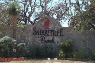 Saddletree Ranch Homes for Sale in Dripping Springs